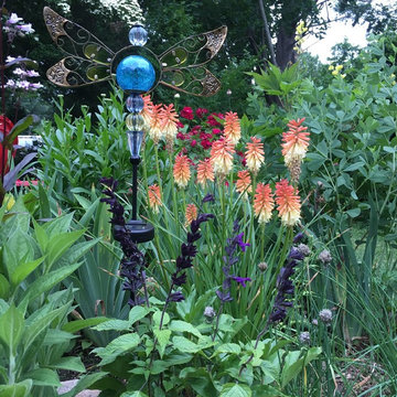 Lawn Reduction: Kniphofia (Red Hot Poker) (Long Island/NY):