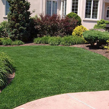 Global Syn-Turf artificial grass in New York City, NY 2