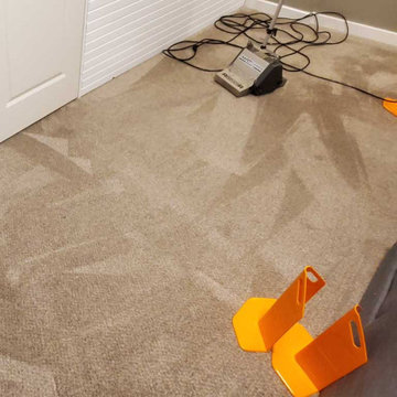 Pet Urine Treatment Carpet Cleaning Townhouse Maple Ridge BC Canada