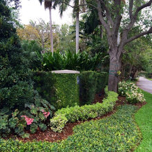 front landscaping