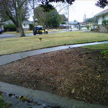 Corner House LANDSCAPING & adding a 2nd DRIVEWAY!