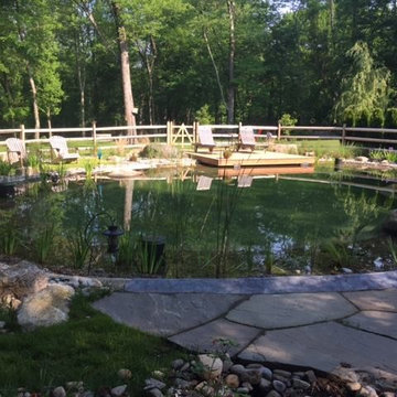 BioNova Natural Swimming Pool - Stamford, CT