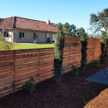 Drought Tolerant