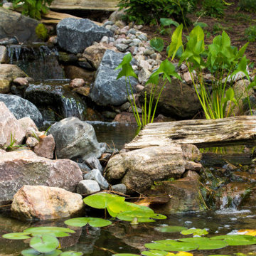 Rozenfeld - Backyard Pond/Water feature project