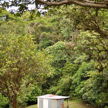 Costa Rica Travel