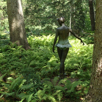Woodland Gardens / Fernery