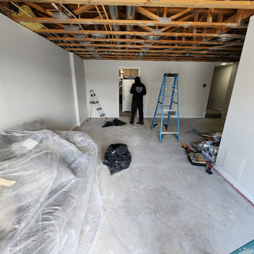 Full Home Renovation