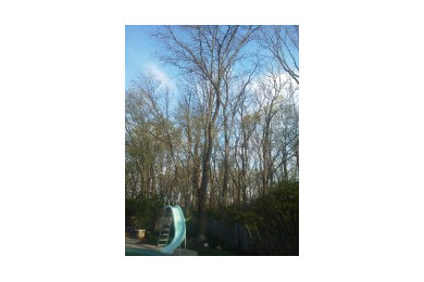 This is an example of a landscaping in Columbus.