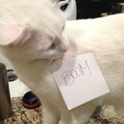 Danica McAden's photo
