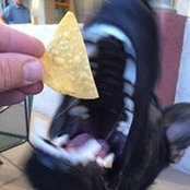 Jennifer Hackett's photo
