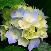 Robin Weidner's photo