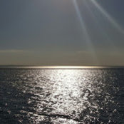 Gerardo Diaz's photo