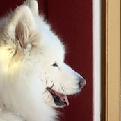 Lisa Shimkus's photo