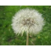 Yvonne Hill's photo