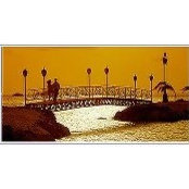 Toni Raimondo-Desimone's photo