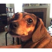 Julie Eberle's photo