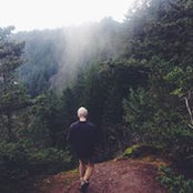 Nikolaas Top's photo