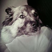 Crystal Ottleys foto