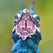 Foto von Lily Lts