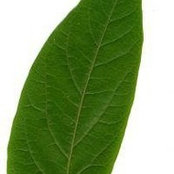 Foto de Jost Völker
