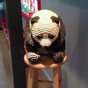Foto von Lance Liu