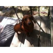 Barbara Wilson's photo
