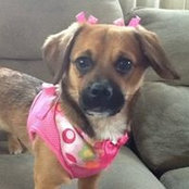Denise Kratochvil-Jansen's photo