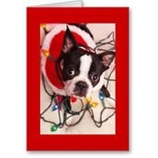 Gale Allen's photo