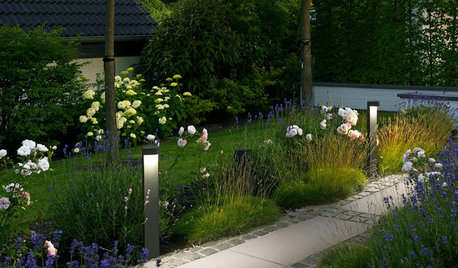 How to Design Garden Lighting That’s Good for You and Wildlife