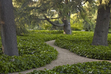 Inspiration for a traditional landscaping in Sacramento.