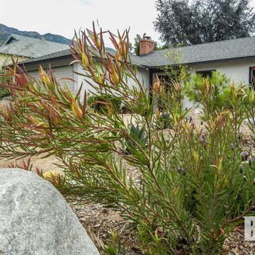 (Altadena)