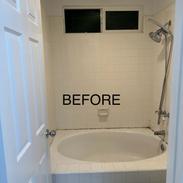 BEFORE PHOTO