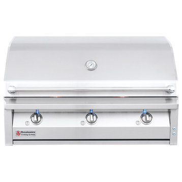 American Renaissance Grills 42" 304 Stainless Steel Built-In Grill, Natural Gas