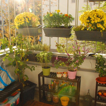 Small Urban Oasis