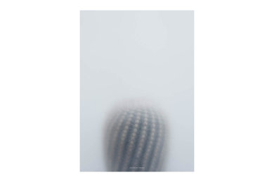 Ball Cactus I – Botanic Serie
