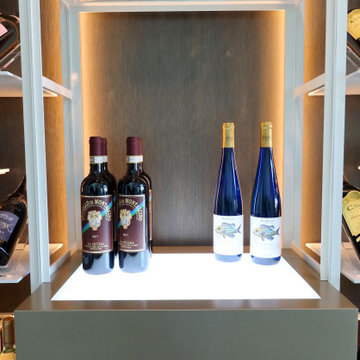 Transitional Understairs Wine Room - Full View, Fort Lauderdale, FL