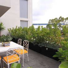 Balcony Landscaping