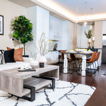 River Oaks Transitional Model Apartment