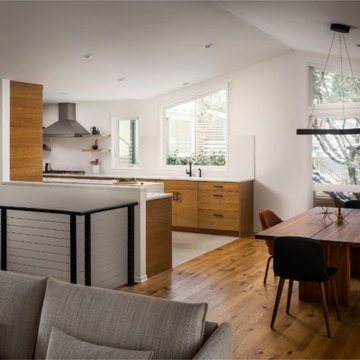 Modern Ranch Whole House Remodel & Addition