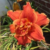 Terri May's photo