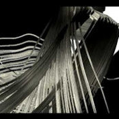 J. Andres Serpa's photo