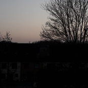 Foto von Joel Ebner