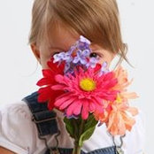 Sean McGrath's photo