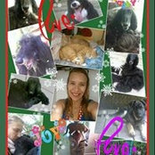 Foto von Ronna S Kurash