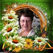 Sandra Pettits foto