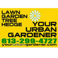 Your Urban Gardener's profile photo