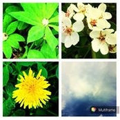 Olesya Usmanova's photo