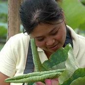 Josephine Giang's photo