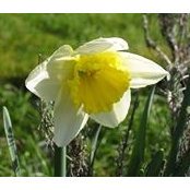 Kathy Lakin's photo