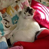 Sandi Kolassa's photo
